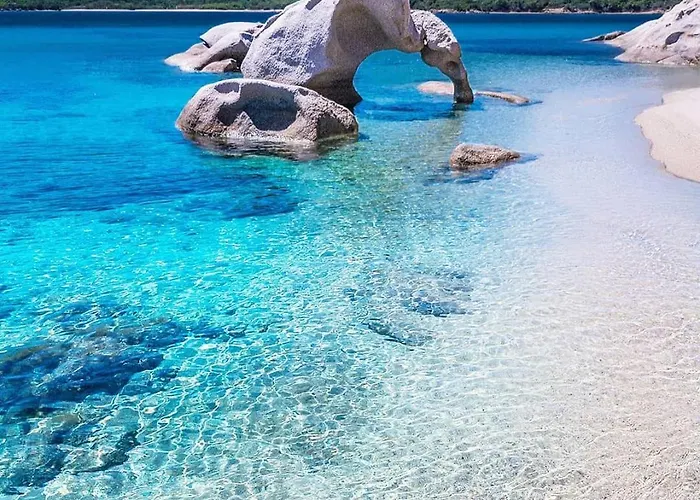 Stella Marys Sud * オルビア